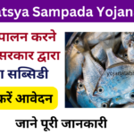 Pradhan Mantri Matsya Sampada Yojana 2024 (PMMSY): Online Registration Kaise Kare, जाने पूरी जानकारी, Very useful