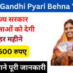 Indira Gandhi Pyari Behna Yojana 2024:- Online Registration Kaise Kare, जाने पूरी जानकारी, Very useful:-