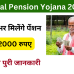 Saral Pension Yojana 2024:- Online Registration Kaise Kare, जाने पूरी जानकारी, Very useful :-