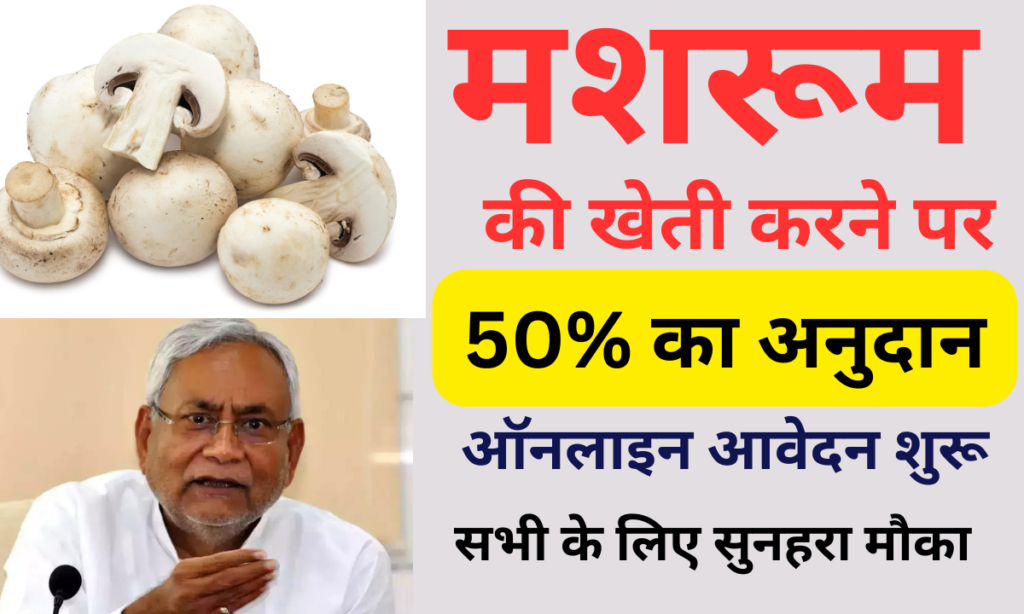 Bihar Mushroom Farming Subsidy Yojana 2024: बिहार सरकार दे रही है 50% की सब्सिडी, जाने पूरी जानकारी, Very useful