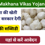 Bihar Makhana Vikas Yojana 2024: Online Registration Kaise Kare, जाने पूरी जानकारी, Very useful