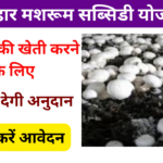 Bihar Mushroom Farming Subsidy Yojana 2025: मशरूम की खेती करने पर मिलेगा 50% की सब्सिडी, जाने पूरी जानकारी, Very useful