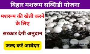 Bihar Mushroom Farming Subsidy Yojana 2025: मशरूम की खेती करने पर मिलेगा 50% की सब्सिडी, जाने पूरी जानकारी, Very useful