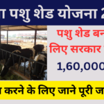 Manrega Pashu Shed Yojana 2024: पशु शेड बनाने के लिए सरकार दे रही है 1 लाख 60 हजार रुपये, जाने पूरी जानकारी, Very useful