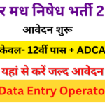 Bihar Data Entry Operator Bharti 2024 :– मध निषेध उत्पाद विभाग DEO भर्ती, आवेदन शुरू इंटर पास- Very useful