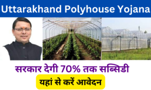 Uttarakhand Polyhouse Yojana 2024: सरकार देगी 70% की सब्सिडी Online Registration Kaise Kare, जाने पुरी जानकारी-Very useful