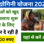 Udyogini Yojana Online 2024: महिलाओं को उद्योग करने के लिए मिलेंगे 30000 रुपए, जाने पूरी जानकारी-Very useful