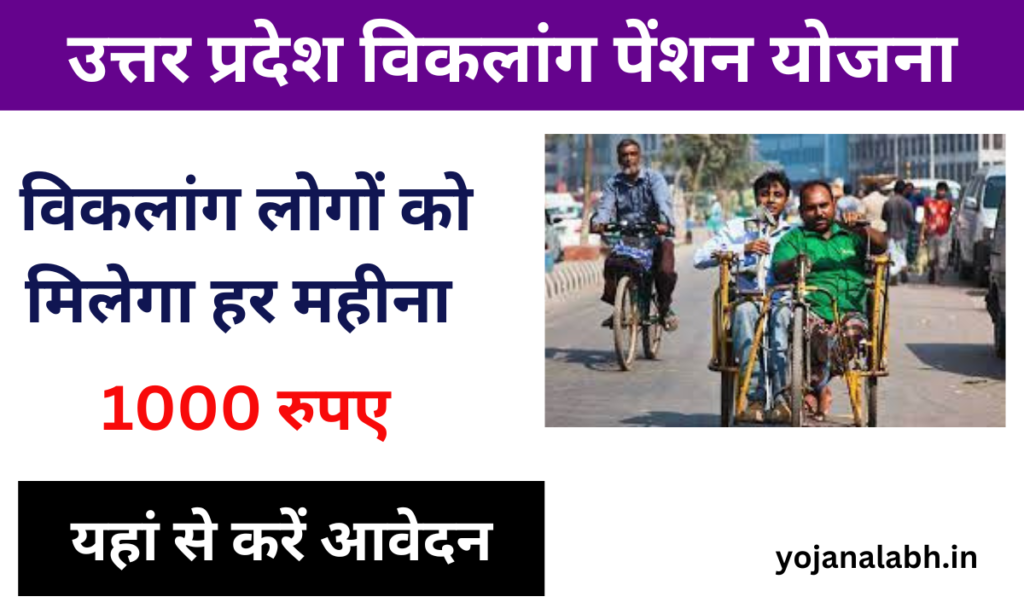 Viklang Pension Yojana 2024: विकलांग के खाते में मिलेंगे ₹1000, यहां से करें आवेदन-Very useful