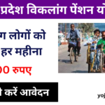 Viklang Pension Yojana 2024: विकलांग के खाते में मिलेंगे ₹1000, यहां से करें आवेदन-Very useful