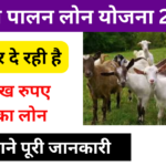 Bakri Palan Loan Yojana 2024: बकरी पालन करने के लिए सरकार दे रही है 5 लाख तक का लोन, जाने पूरी जानकारी-Very useful