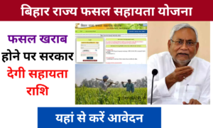 Bihar Rajya Fasal Sahayata Yojana 2024: बिहार राज्य फसल सहायता योजना, यहां से करें आवेदन Very useful