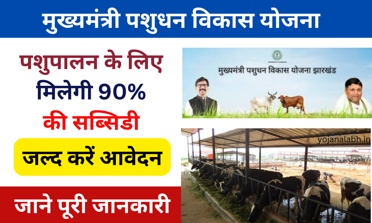 Mukhyamantri Pashudhan Vikas Yojana 2025: पशुपालन करने के लिए सरकार देगी 90% की सब्सिडी, यहां से कार्य आवेदन Very useful