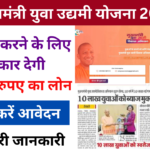 Mukhyamantri Yuva Udyami Yojana 2025: व्यवसाय करने के लिए सरकार देगी 5 लाख रुपए, यहां जाने पूरी जानकारी Very useful