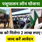 पशुपालन लोन योजना 2025: सरकार पशुपालन करने वाले किसान को देगी अनुदान, जल्द करें आवेदन Very useful