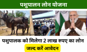पशुपालन लोन योजना 2025: सरकार पशुपालन करने वाले किसान को देगी अनुदान, जल्द करें आवेदन Very useful