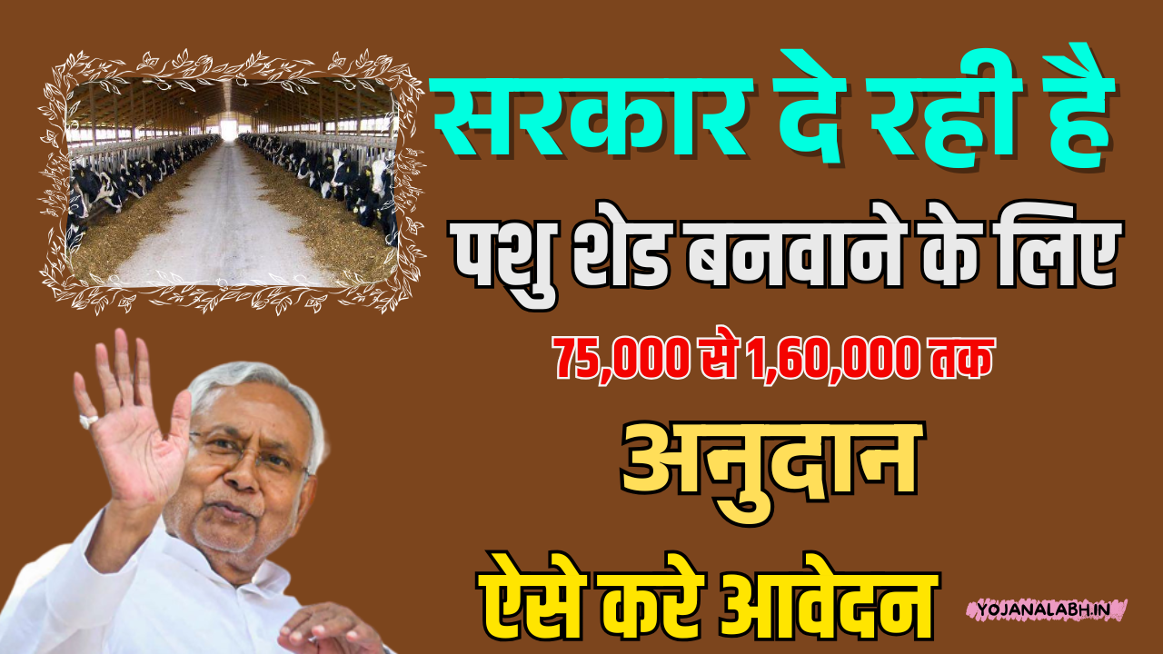 Bihar Pashu Shed Yojana 2025